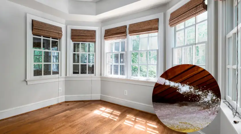 does insulation or windows make a bigger difference in energy bills