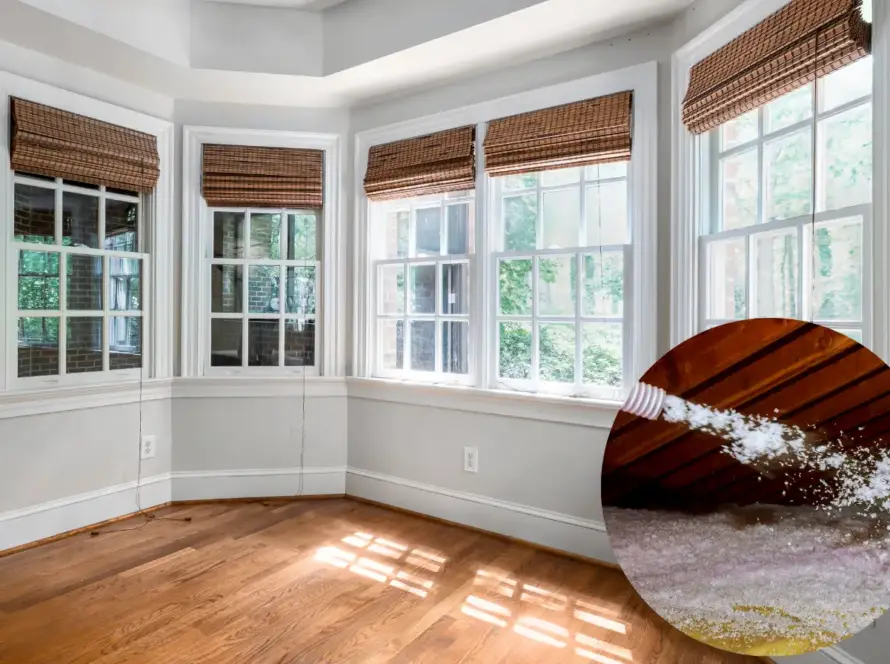 does insulation or windows make a bigger difference in energy bills